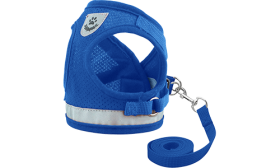 Gilet Harnais Réfléchissant pour Chat avec Laisse