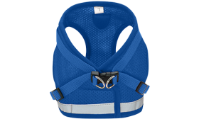 Gilet Harnais Réfléchissant pour Chat avec Laisse