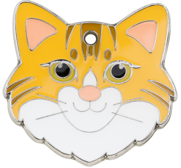 Ginger Engraved Cat Tag