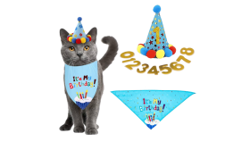 Ensemble d'anniversaire avec Bandana pour Chat
