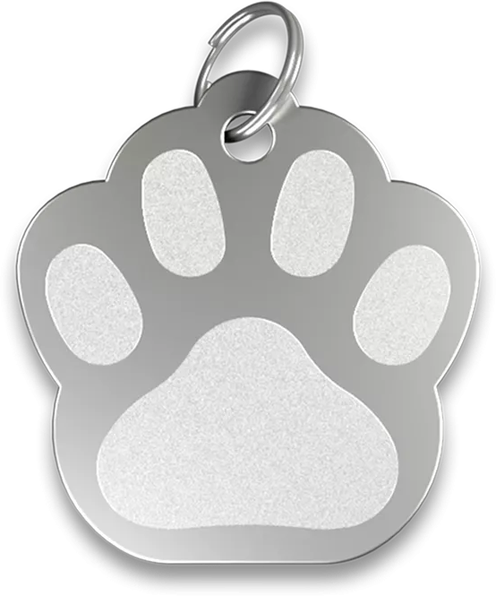 Médaille Chat Patte Gravée