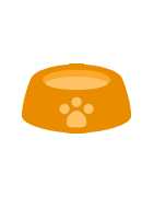 Other Cat Accessories - Cattags.ca