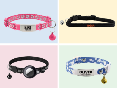 Meilleurs colliers pour chat : Sécurité et tranquillité de votre félin